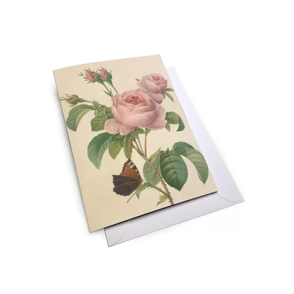 Botanical Garden Mixed Roses Notecard - Set Of 8