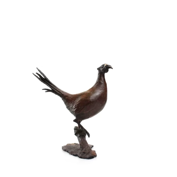 Bronze Pheasant