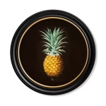 TAIN Print: Pineapple Study - R - OR - 44x44cm