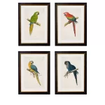 Blue & Yellow Macaw - 50cm x 70cm