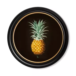 Pineapple Study Round Framed Art
