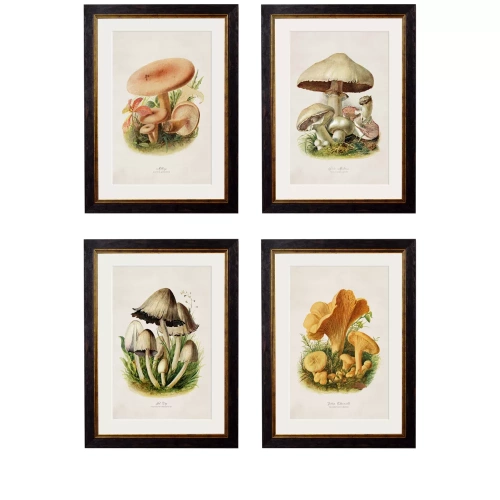 Edible Mushrooms Framed Art Print
