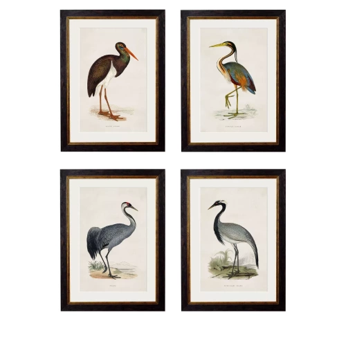 Black Stork - 50cm x 70cm