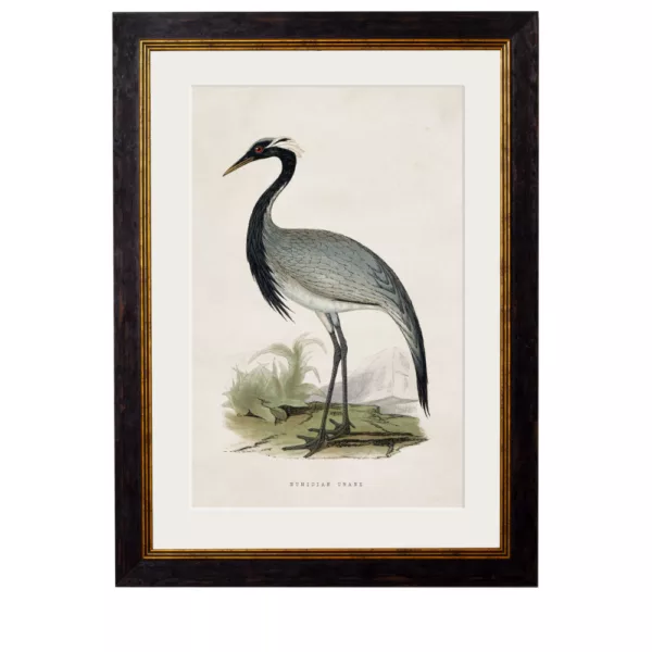 Black Stork - 50cm x 70cm