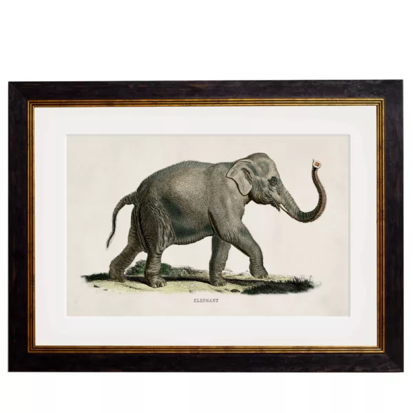 Elephant Left Facing - 38cm x 50cm