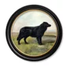 Black Labrador - 44cm x 44cm