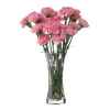 Florabundance Carnation Vase