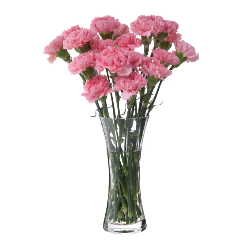 Florabundance Carnation Vase