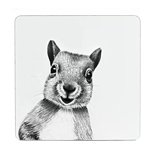 Squirrel Placemat