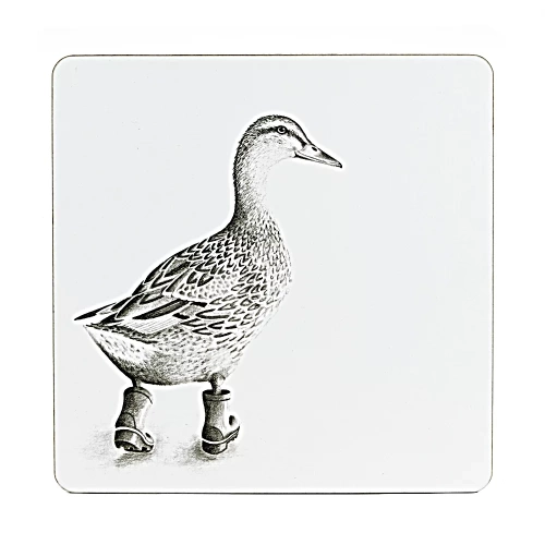 Runaway Duck Placemat