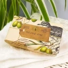 Olive Oil