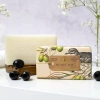 Olive Oil
