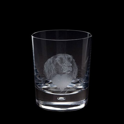 Hand Engraved Springer Spaniel Crystal Glass Tumbler