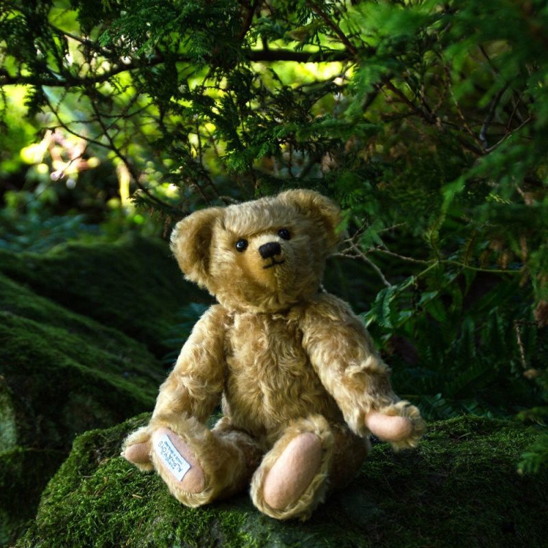 Edward - Christopher Robin's Teddy Bear 11''