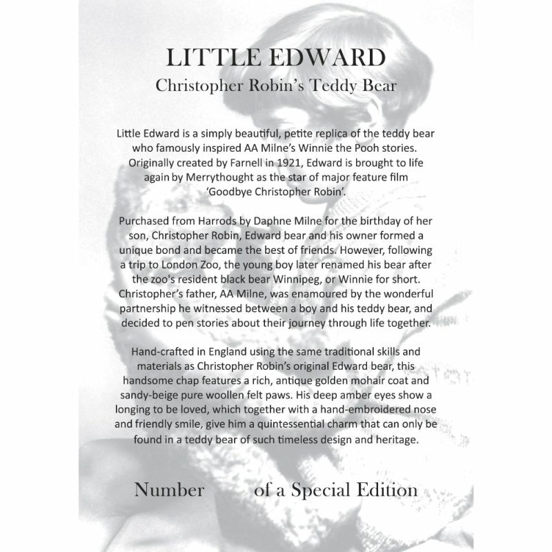 Edward - Christopher Robin's Teddy Bear 11''