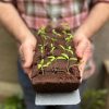 Shakespearean Flowers Seeds Bar