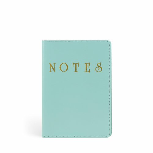 Gold Notes Notebook With Reusable Leather Cover Frosted Mint