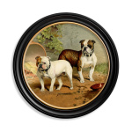 Bulldogs - 44cm x 44cm