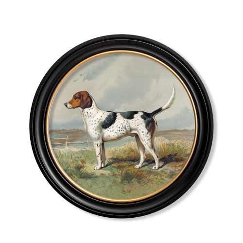 Foxhound - 44cm x 44cm