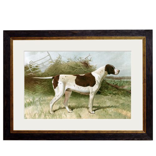 Gun Dogs Pointer Framed Art