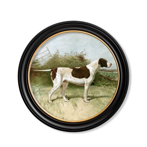 Gun Dogs Pointer Framed Art Round Frame