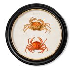 Crabs Framed Art Print In Round Frame