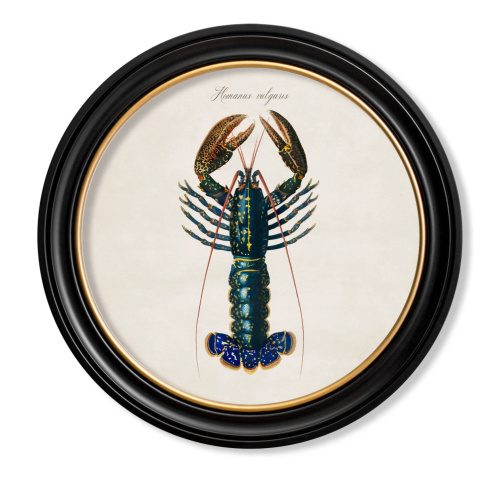 Lobster Framed Art Print In Round Frame