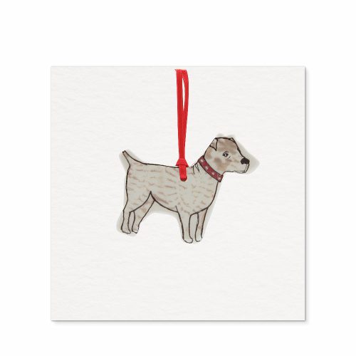 Staffordshire Terrier - White