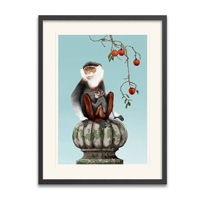 Asian Monkey Framed Art Print