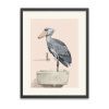 Shoebill Framed Art Print 12"x16"