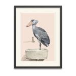 Shoebill Framed Art Print 12"x16"