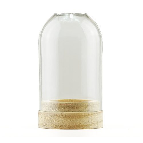 Glass Dome Tealight Holder Clear