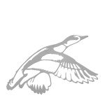 Flying Mallard Duck Steel Wall Hanger