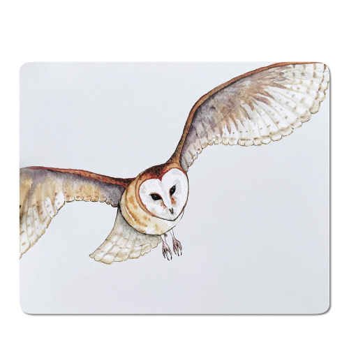 Owl Placemat