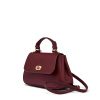 Mini Holly Leather Handbag Oxblood