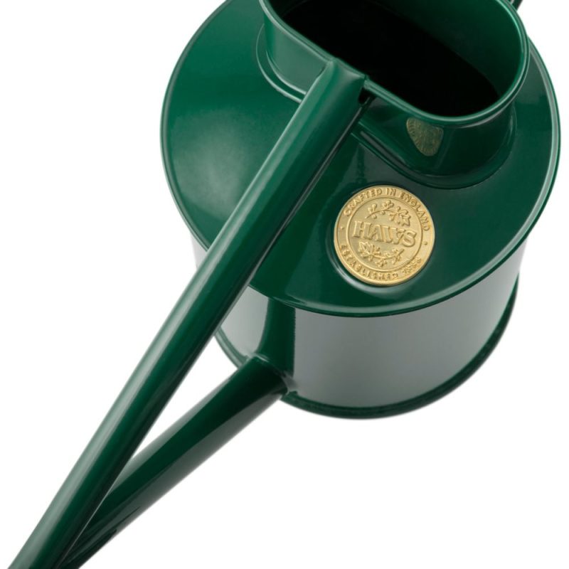 Fazeley Flow Green Watering Can 2 Pint