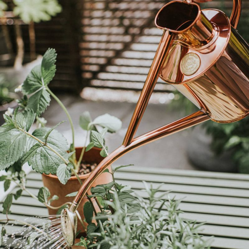 Rowley Ripple Copper Watering Can & Smethwick Spritzer Gift Set