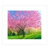 Blossom At The Arboretom Limited Edition Print