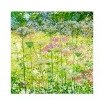 Queens Lace Art Print