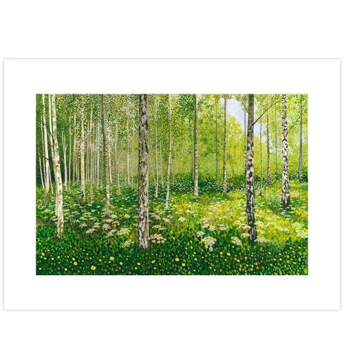 Silver Birch Copse Art Print Limited Edition