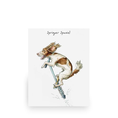 Springer Spaniel Art Print