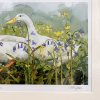 Bluebell Art Print Framed Limited Edition