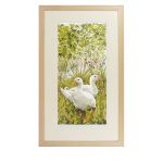 Aylesbury Ducks Art Print Framed Limited Edition