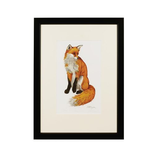 Unconcerned Fox Art Print Framed Limited Edition