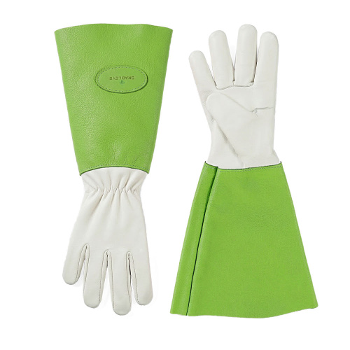 Anti Bramble Ladies Gardening Gloves Green