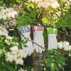 Anti Bramble Ladies Gardening Gloves British-Made Gardening Tools For Spring