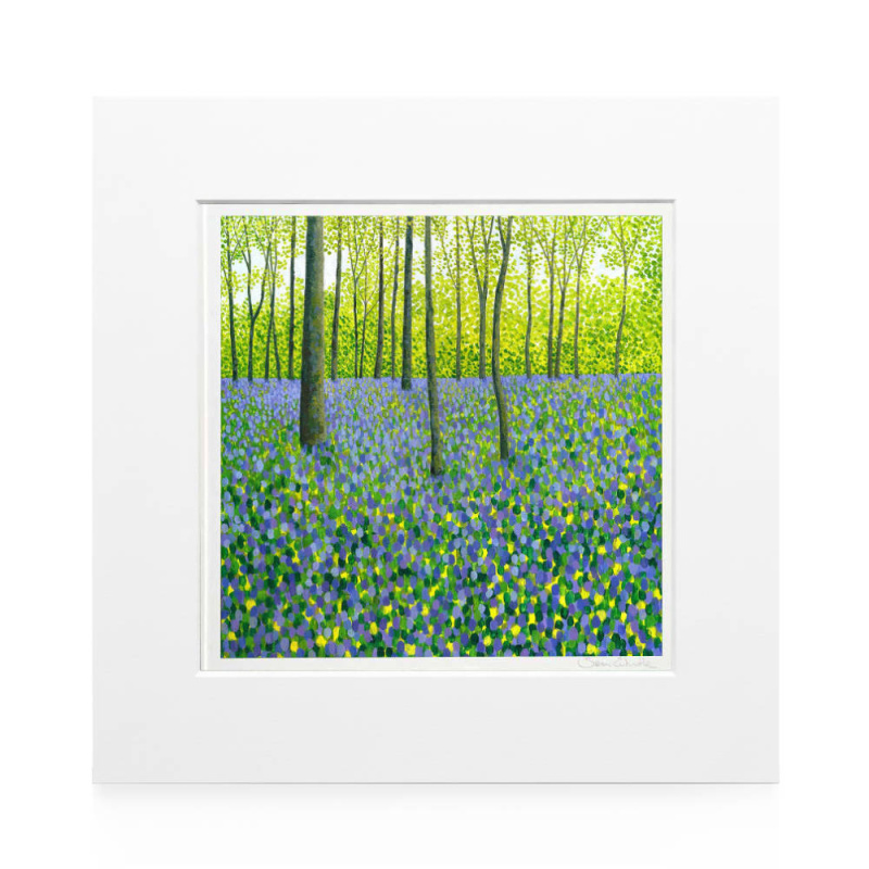 Springtime Bluebells Art Print