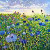 Cornflower Art Print