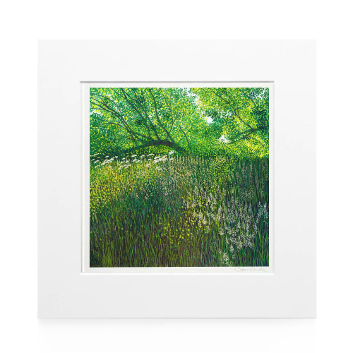 Summer Meadow Art Print